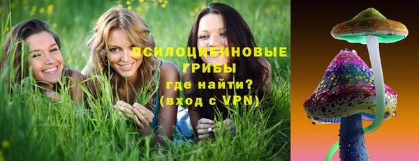 молекула духа Алексеевка