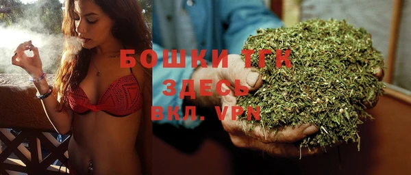 молекула духа Алексеевка